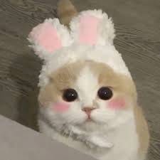 Nguyễn Bảo Châu avatar